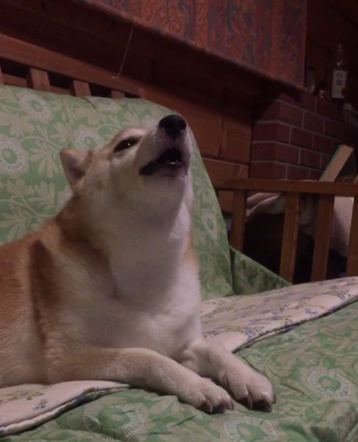 and the storm we must endure my friend