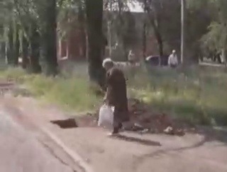 La madriguera del mapache zurdo