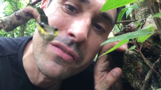 nightcrawlersz: thisisevak:  least-virginy-virgin-ever:  gif87a-com: This cool caterpillar in Peru will transform itself into looking like a snake when it feels threatened [x]  BUT EVOLUTION ISNT REAL🙄   ^^^ exactly   WHAT THE FUCK. amazing 