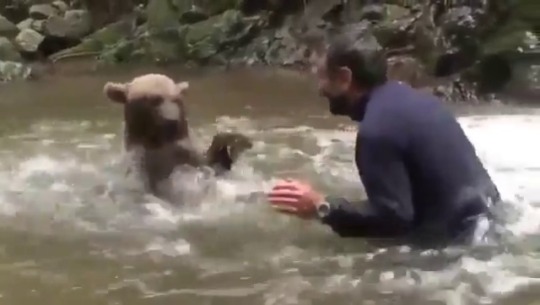 babyanimalgifs:Only in Russia.. a human having a water fight with a bear