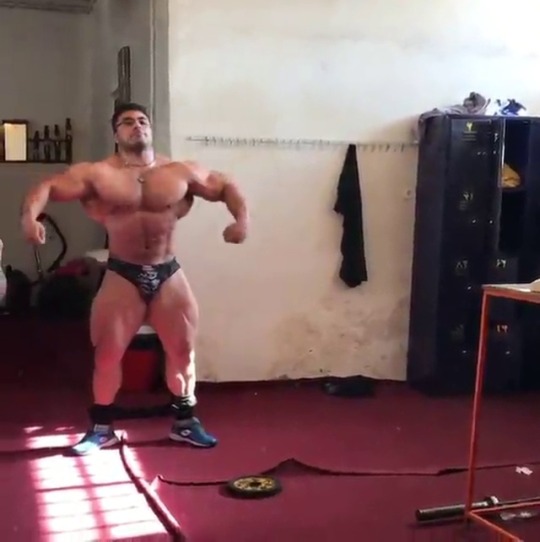 offseasonbodybuilders:  Behrooz Tabani