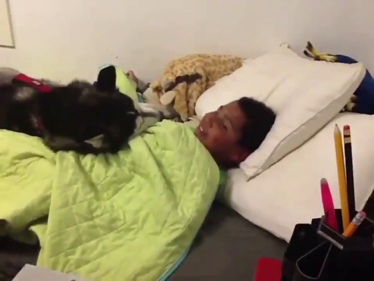 onemancabaret: theheartbrokenlibertarian:  Do NOT bother my boy.  DO. FUCKING. NOT. What a wonderful way to wake up! Every little boy deserves a dog, and every dog deserves a little boy.   WHEN HE PULLS THE BLANKET BACK OVER HIM AND GIVES HIM A KISS