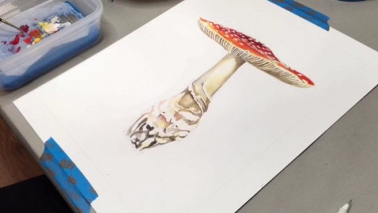 Porn Pics lwhittie: Amanita muscaria WIP  Holbein