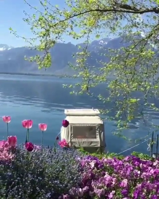 swoo-n:  softwaring:https://www.instagram.com/p/BaqAuxHD7H2/? switzerland seems pretty magical