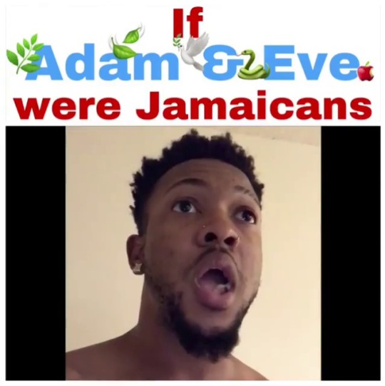 badgyal-k:  hotterdenwasabi:  fuckthisblogshit:  the1movement:  cuuurlyfryy:  mieshasmoore:  brieshaniece: twinb21:   babiidoll18:   hankvondouche:   okayysophia:  Jamaican Adam and Eve😂😂😂  Yoooooo   😂😂😂😂😂😂   I literally jus