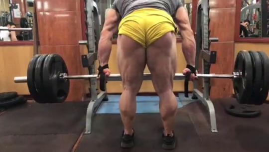 Mehdi Shamshiri  