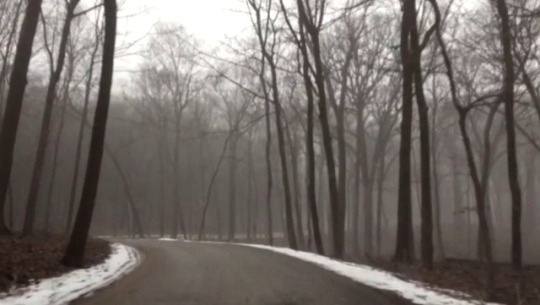 mityarostrokovich: Shostakovich’s 11th symphony was on the radio at an eerily perfect time.