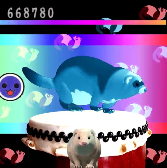 moxperidot:  mileskitaro:  This ferret can teach you how to play Taiko no Tatsujin ! ♫   Saitama 2000  