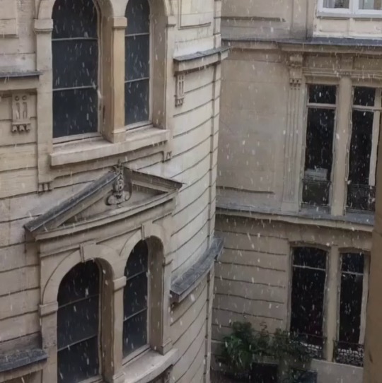 theparisiancatologue: snow in paris
