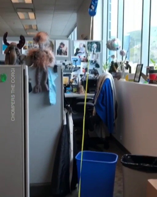 chompersthecorgi: How to keep track of your corgi at work when he wanders off. 😆🎈 #CorgiGPS