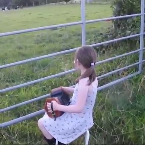 tastefullyoffensive:  highlandvalley:Playing til’ the cows come home..https://twitter.com/HeidiStea/status/970626640853139456/video/1 Sound up.