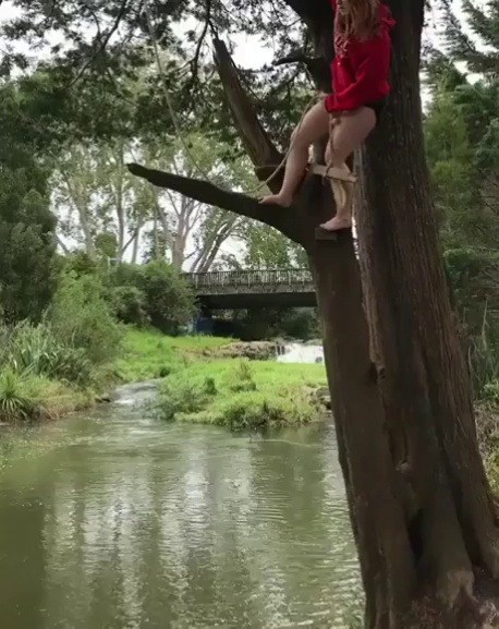 elreyputo:Bridge to terabithia (2007)