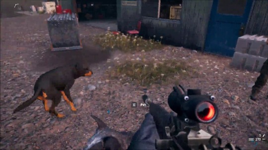 shitpost-senpai:The really important bits of Far Cry 5 IS… IS THAT BEAR NAMED CHEESEBURGER?!