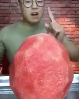 mop-mod: “RECENTLY THERE’S BEEN A LOT OF PEOPLE ONLINE CHALLENGING EACH OTHER TO CHEW THROUGH WATERMELON. IS THERE ANYONE WILLING TO CHALLENGE ME??” *smacks head three times with plate* “[UNINTELLIGIBLE]” *gross wet chomping noises*