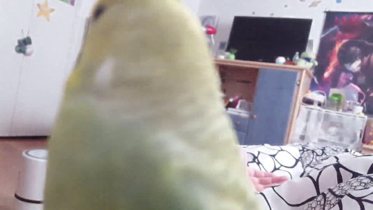 thebeakincarnate:  quibblepoof:  human are you awake yet  Thank you I feel like i am awake for the first time in my life 