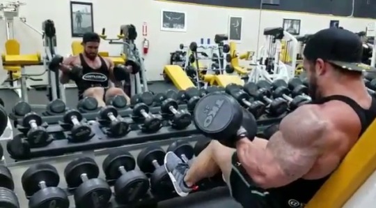 bodybuilers4worship:  drwannabebigger:  superheavyweight:  Grinding and grunting. Woof.  Santi Aragon  Now that’s an alpha noise right there 