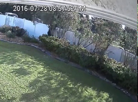 kilted-veteran:  texasgmg:  ampervadasz: Hulk  I like how they jumped back to this
