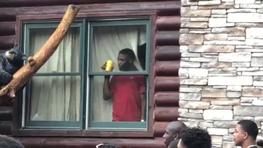 badgyal-k:  dacvntgod: his-high-ness:  localstarboy:  Caption this:  When a nigga