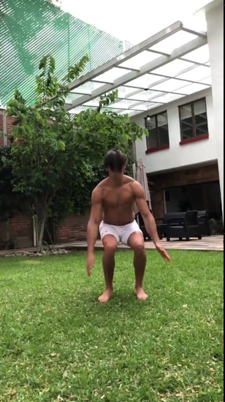 Bulgedog