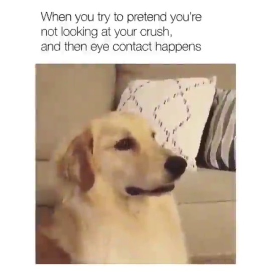 babyanimalgifs: Lmao 😂