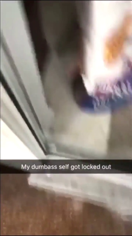 trippyspice: greentea-and-blunts:   dog-rates: This dog unlocked the door for his