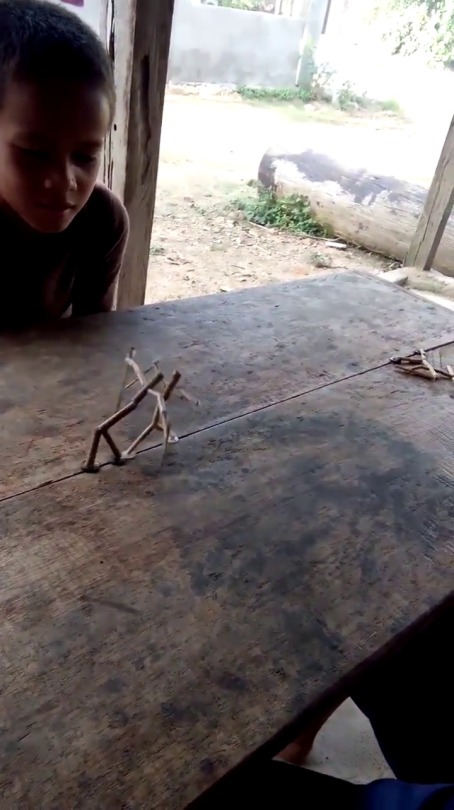 luisonte:Stick Fighter