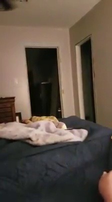 maddie biscuits