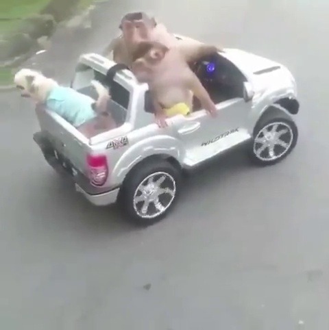 dailytweets:  I think about this video every single day