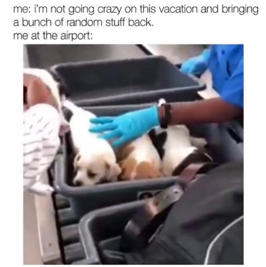 babyanimalgifs:  I’ve played this so many times