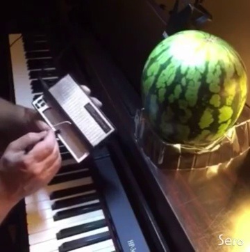 watermelon-socialist: kitchenwitchupinthisbitch: “What’s the watermelon fo- Oh!” my followers slappin me after i make another post on tunglr.com 