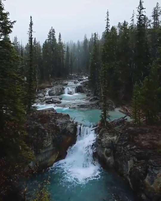 earthstory:  Banff National Parkseyyah_blog Sabahiniz xeyir.
