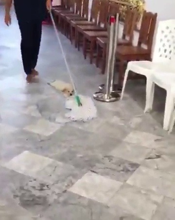 meapuntoaunbombardeo::D