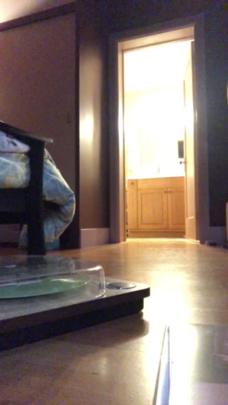 hapawahine:  After shower dancing on this gloomy Friday. Part 1 of 2