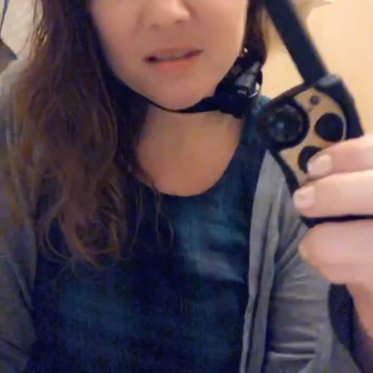 strictpigowner: stupidlittlethingie:  4 💕 5 💕 6 💕   And you know that shock collar is on your neck..it’s your cunt that reacts the most… 