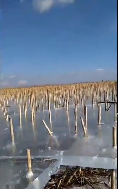 sixpenceee:The ice stayed, but the water left. Commenters say this is a corn field, that was flooded, froze over and then the water drained. (Source)