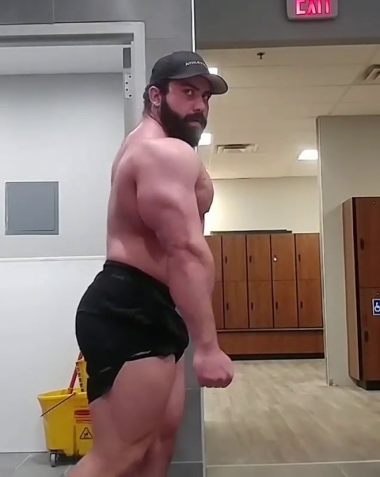 needsize:  Off season - all coming to an end.Jamal Musbah