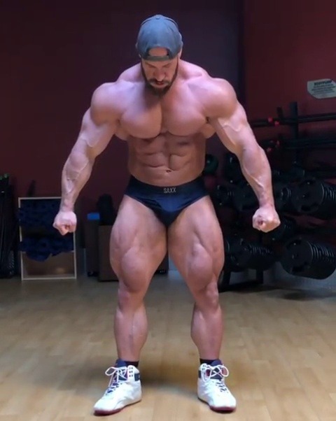   Antoine Vaillant  