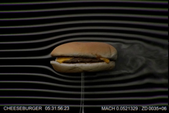 mastering-the-best-of-life:  sixpenceee:  I present you with a video that displays the aerodynamics of a cheeseburger.  Just in case you want to have a food fight in the cafe.  😂 knowledge that helps you to survive…  Ok so pinch the trailing edge