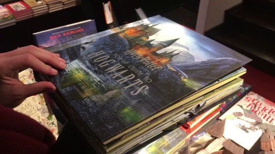 hogwartsfansite:  I would probably die for this pop-up book.