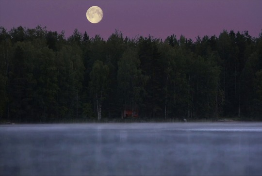 milamaiart:  An early foggy morning in a cabin by the lake, Finland. Sound on ;)