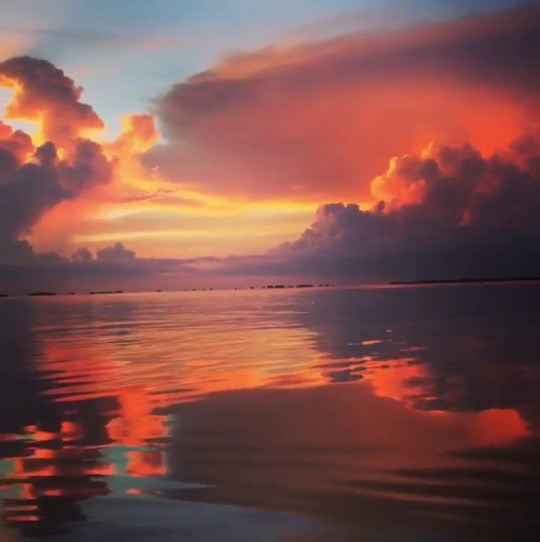 essence-of-nature:  mr__watsonFlorida Keys  Yeah, I need this kinda view at the end