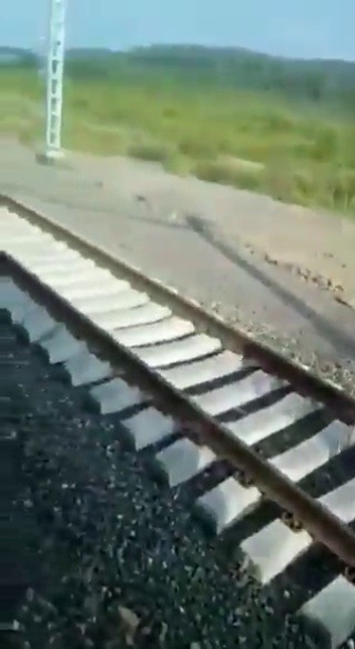 Las vías de tren de Extremadura. Descripción gráfica.