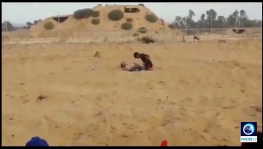 Jóvenes palestinos ponen su propio cuerpo como escudo humano para que los francotiradores 