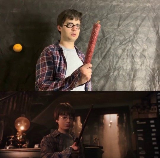 rhimjob: ikkoboomboom:  madamslayyy:  catchymemes:  Harry Potter low cost version by Studio 188   Gosh the amount of DETAIL they put into this   I lost it when they replaced Hedwig with a fucking -raw chicken-  THE FUCKING ENEMA 
