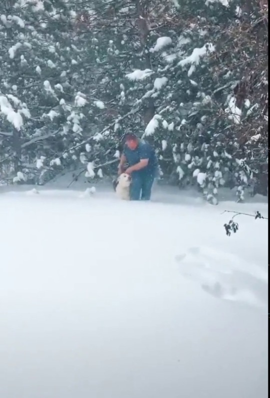 sixpenceee:   “16 year old good boy can’t walk too well, but loves to play in the snow so his owner helps him have his fun”Source                            
