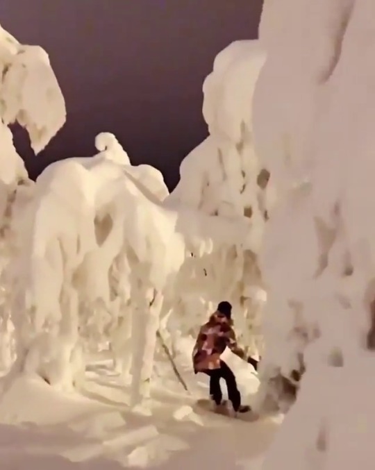 vizual-vibe:  Snowboarding at night in the Arctic Circle.How beautiful is this!?⠀Video