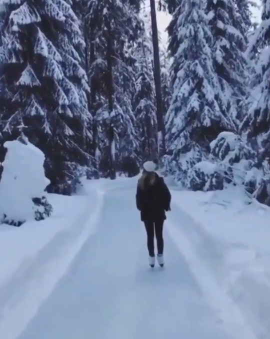 serendipitousdiscoveries: Wow! Gorgeous winter wonderland. 