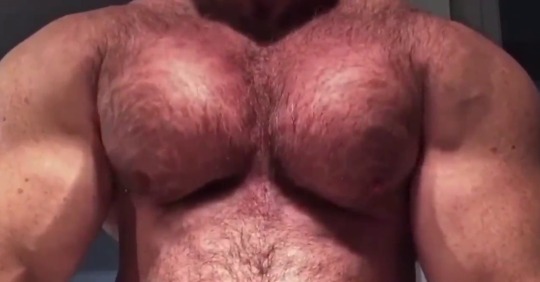 souzalino-blog:  Big muscles. 
