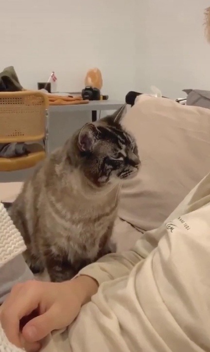 everythingfox:    “Cranky to Happy in 5 seconds”(via)