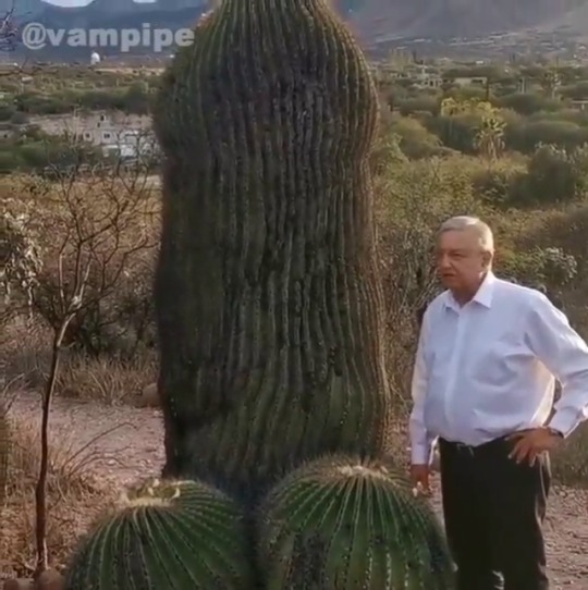 sofea-00: Así se las gastan en México.